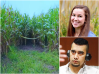 Graphic Warning: Cornfield Where Illegal Alien Allegedly Dumped Mollie Tibbetts’ Body Shown to Jury