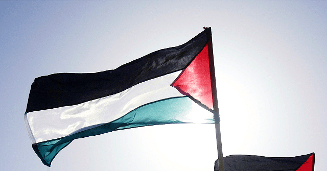 Pro-Palestinian Protest Blocks Access to New York's JFK Airport
