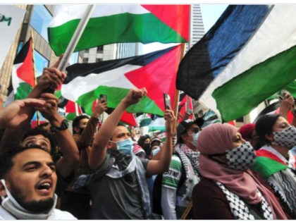 Pro-Palestine Demonstration
