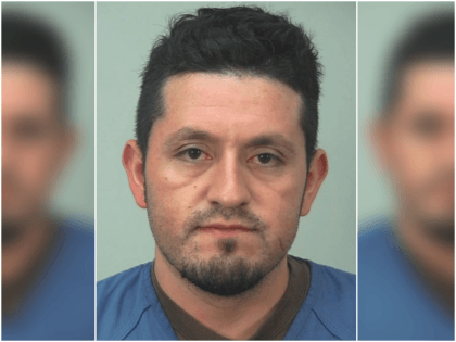 An illegal alien pleaded guilty this week on charges that …
