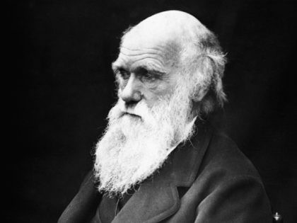 Darwin’s Theory of Evolution Justifies ‘White Male Supremacy’, Claims Woke University