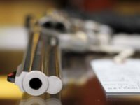 Report: Number of Firearms in Civilian Possession Tops 490 Million