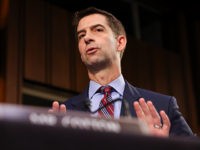 Sen. Cotton Asks Gen. Milley: 'Why Haven't You Resigned?'