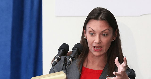 DeSantis Challenger Nikki Fried: 'Do Me a Favor and Say Gay'