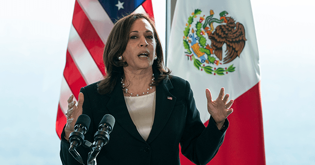 White House, Left Worries VP Harris Failed in Latin America