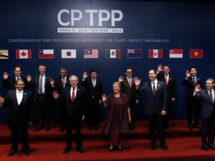 (L-R, first row) Brunei's Acting Minister for Foreign Affairs Erywan Dato Pehin, Chile's Foreign Minister Heraldo Munoz, Chile's President Michelle Bachelet, Australia's Trade Minister Steven Ciobo and Canada's International Trade Minister Francois-Phillippe Champagne, and (L-R, back row) Singapore's Minister for Trade and Industry Lim Hng Kiang, New Zealand's Minister for …