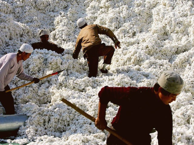Migrants work at a cotton factory on October 15, 2005 in Shihezi city of Xinjiang province, China. Attracted by the prospect of earning more, rural workers flow into the region to harvest the vast cotton fields. (Photo by Guang Niu/Getty Images)