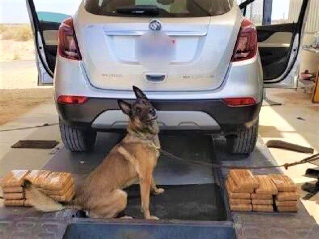 An El Centro Sector Border Patrol K-9 discovered cocaine packed under an SUV near interior immigration checkpoint in California. (Photo: U.S. Border Patrol/El Centro Sector)