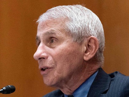 Anthony Fauci, director of the National Institute of Allergy and Infectious Diseases, speaks during a hearing looking into the budget estimates for National Institute of Health (NIH) and the state of medical research on Capitol Hill in Washington, DC on May 26, 2021. (Photo by SARAH SILBIGER / POOL / …