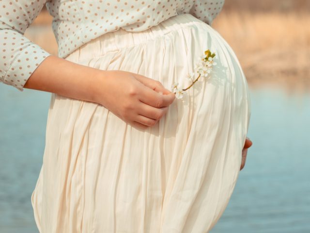 pregnant girl in a white dress on a background of a river. He hugs his stomach with his hands and holds a flowering branch of a spring tree. Vintage toning, focus on pregnant belly. Family concept