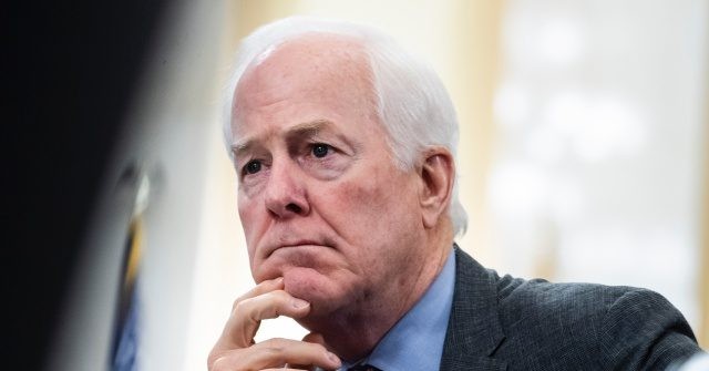 John Cornyn Pledges to Sell Out America on Amnesty After Caving on Gun Control thumbnail