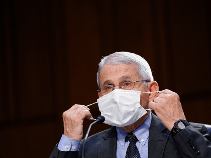 Report: Anthony Fauci Said in Released Emails ‘Drug Store’ Masks Are ‘Not Really Effective’