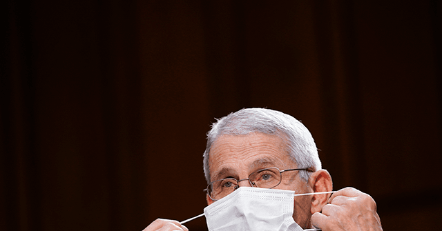 Fauci: 'You Should Wear a Mask in a Congregate Indoor Setting'