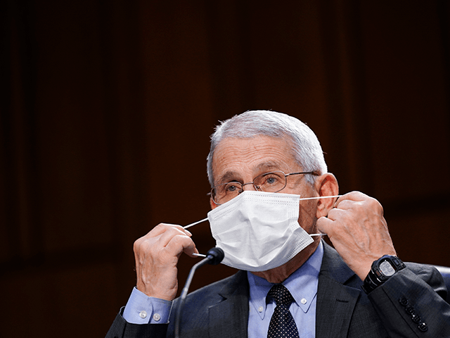 Dr. Anthony Fauci, director of the National Institute of Allergy and Infectious Diseases, adjusts a face mask during a Senate Health, Education, Labor and Pensions Committee hearing on the federal coronavirus response on Capitol Hill on March 18, 2021 in Washington, DC. (Photo by Susan Walsh-Pool/Getty Images)