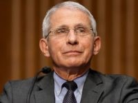 Rep. Mike Waltz: Chinese Coronavirus Origins Silenced Because of Anthony Fauci’s Conflict of Interests