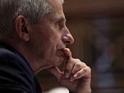 Anthony Fauci, director of the National Institute of Allergy and Infectious Diseases, listens during a hearing looking into the budget estimates for National Institute of Health (NIH) and the state of medical research on Capitol Hill in Washington, DC on May 26, 2021. (Photo by Stefani Reynolds / POOL / …