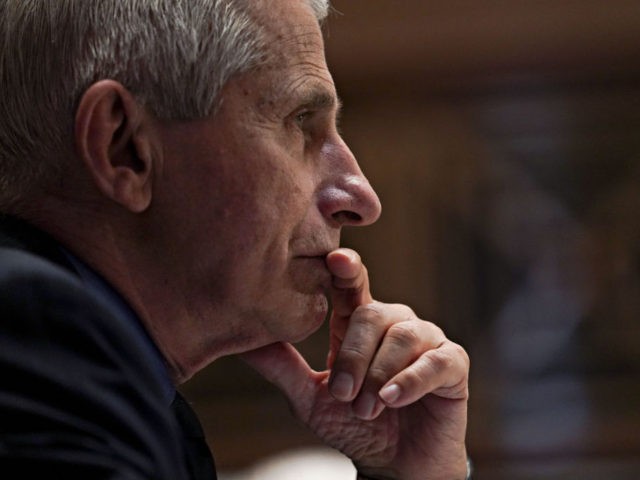 Anthony Fauci, director of the National Institute of Allergy and Infectious Diseases, listens during a hearing looking into the budget estimates for National Institute of Health (NIH) and the state of medical research on Capitol Hill in Washington, DC on May 26, 2021. (Photo by Stefani Reynolds / POOL / …