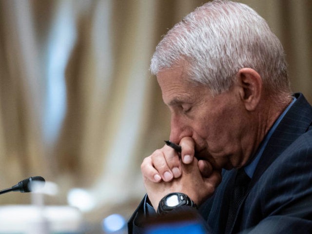 WASHINGTON, DC - MAY 26: Dr. Anthony Fauci, director of the National Institute of Allergy and Infectious Diseases, listens during a Senate Appropriations Labor, Health and Human Services Subcommittee hearing looking into the budget estimates for National Institute of Health (NIH) and state of medical research on Capitol Hill, May …