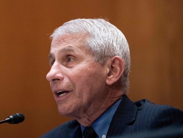 Anthony Fauci, director of the National Institute of Allergy and Infectious Diseases, speaks during a hearing looking into the budget estimates for National Institute of Health (NIH) and the state of medical research on Capitol Hill in Washington, DC on May 26, 2021. (Photo by SARAH SILBIGER / POOL / …