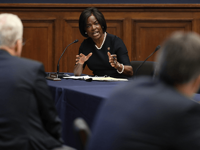 House Homeland Security Committee member Rep. Val Demings (D-FL) questions witnesses durin