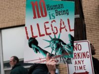 Sanctuary State Colorado to Give Professional Licenses to Illegal Aliens