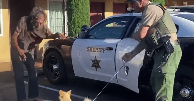 WATCH: Family Helps Reunite Homeless Veteran with Missing Dog