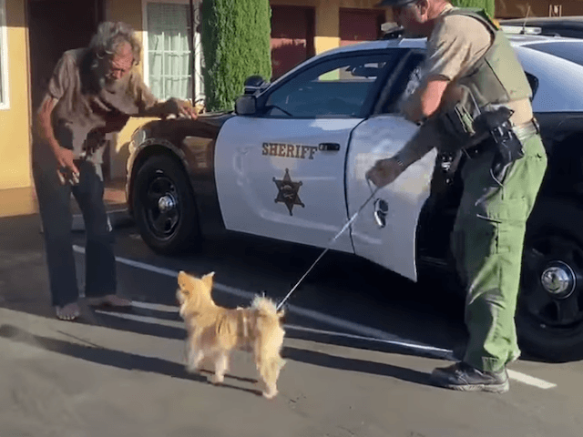 WATCH: Family Helps Reunite Homeless Veteran with Missing Dog - Vimarsana News