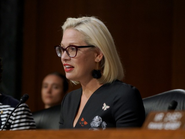 Arizona CEOs Push Senators Sinema, Kelly for Cheap Labor, Amnesty - Vimarsana News