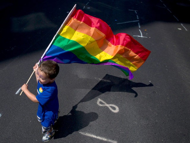 NEW YORK, NY - JUNE 26: A boy carries a flag during the New York City Pride March, June 26