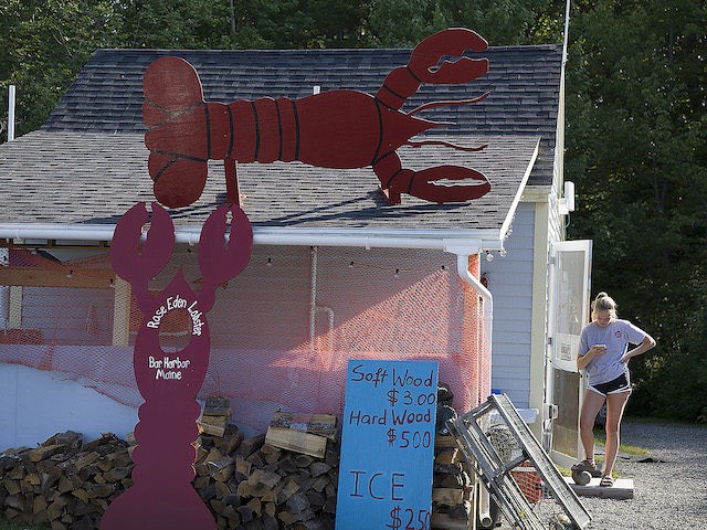Olivia Gray waits for customers at the Rose Eden and Lobster restaurant on July 08, 2019 in Bar Harbor, Maine. Maine’s lobsters are the most valuable commercial fishery in the state and the largest lobster fishery in the United States. Studies indicate that since 1982, temperatures in the Gulf of …