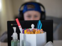 ‘Above a Third’ of Students Fall Behind During Zoom School Year