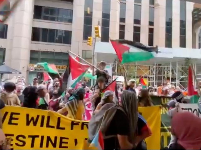 Pro-Palestinian Demonstration NYC