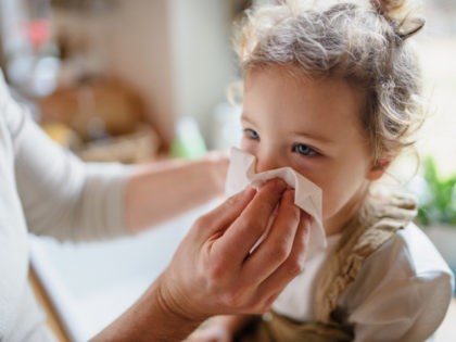 Unrecognizable father blowing nose of small sick daughter indoors at home. - stock photo Unrecognizable father with small sick toddler daughter indoors at home, blowing nose.