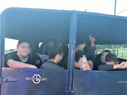 Laredo Sector agents find 21 migrants in a human smuggling incident involving a horse trai