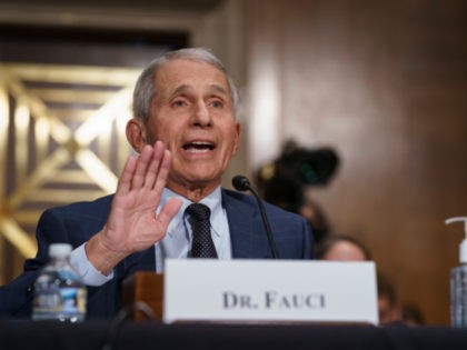 Top infectious disease expert Dr. Anthony Fauci pushes back on statements by Sen. Rand Paul, R-Ky., as he testifies before the Senate Health, Education, Labor, and Pensions Committee on Capitol Hill in Washington, Tuesday, July 20, 2021. Cases of COVID-19 have tripled over the past three weeks, and hospitalizations and …