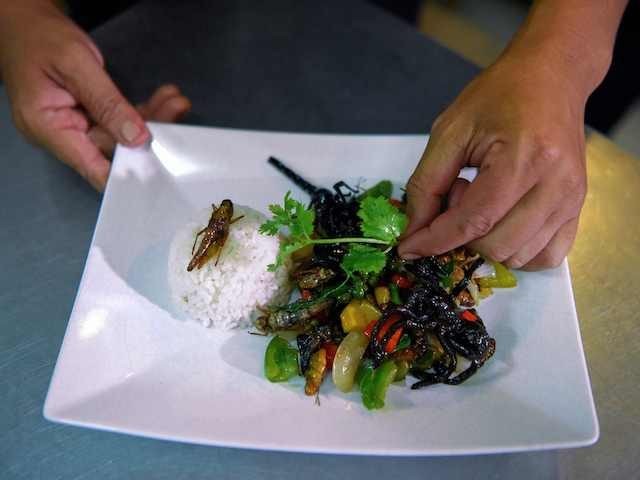 This photo taken on October 24, 2019 shows Chef Seiha Soeun preparing a dish with fried grasshoppers, tarantula, scorpion and vegetables in the kitchen at the Bugs Cafe restaurant in Siem Reap province. - Ant spring rolls, silkworm taro croquettes and a "bug mac" -- Cambodia's first insect tapas restaurant …