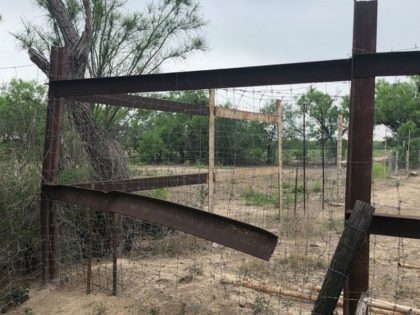 Damage to Texas Rancher's Fence caused by human smugglers. (File Photo: Texas Farm Bureau)