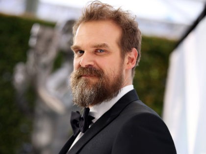 LOS ANGELES, CALIFORNIA - JANUARY 19: David Harbour attends the 26th Annual Screen Actors Guild Awards at The Shrine Auditorium on January 19, 2020 in Los Angeles, California. (Photo by Rich Fury/Getty Images)