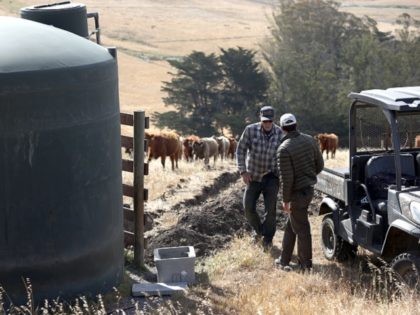 TOMALES, CALIFORNIA - JUNE 08: Ranchers Jim Jensen (R) and Bill Jensen (L) stand by a water tank as they work on a water project to try and get more water to their ranch from a well on June 08, 2021 in Tomales, California. As the drought emergency continues in …