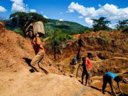 A miner carries a load of ore at Manzou Farm, owned by Grace Mugabe, wife of former Zimbabwean President Robert Mugabe, in Mazowe, Zimbabwe on April 5, 2018. Local media reported on March 30, 2018 that illegal gold miners in Zimbabwe have seized a farm belonging to former first lady …