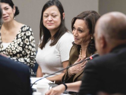 Vice President Kamala Harris meets with Democrats from the Texas state legislature at the American Federation of Teachers, Tuesday, July 13, 2021, in Washington. (AP Photo/Alex Brandon)