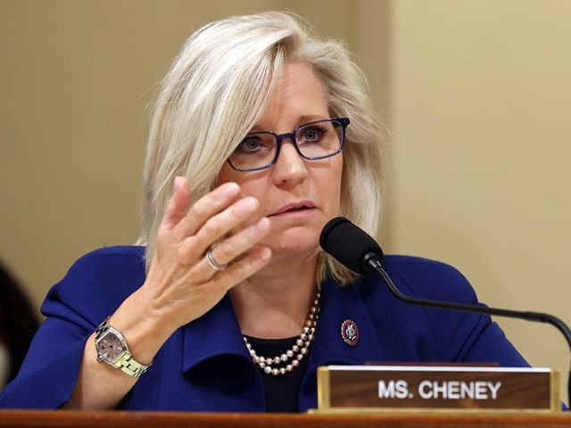 WASHINGTON, DC - JULY 27: U.S. Rep. Liz Cheney (R-WY) questions witnesses during a hearing