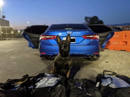 265 Pounds of Meth Intercepted in California near Border