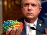 CDC Director: Delta Variant Comprises 83% Coronavirus Cases in the U.S.