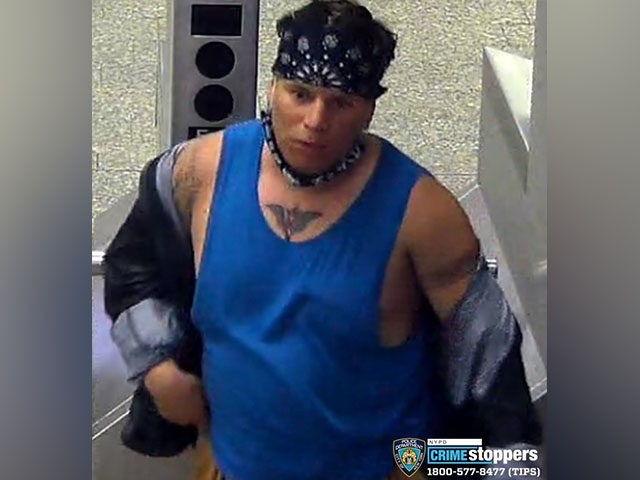 NYC Subway Criminal