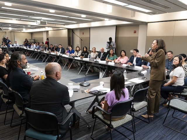 Vice President Kamala Harris meets with democrats from the Texas state legislature at the American Federation of Teachers, Tuesday, March 13, 2021, in Washington. (AP Photo/Alex Brandon)