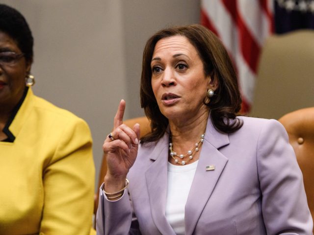 US Vice President Kamala Harris speaks during a meeting with Black women leaders to discus