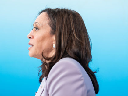 Vice President Kamala Harris participates in a listening session with civil rights and vot
