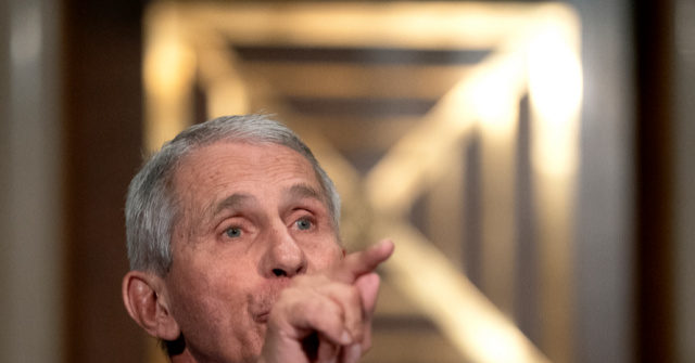 ‘What a Moron’: Fauci Name-Calls Sen. Marshall After Heated Hearing