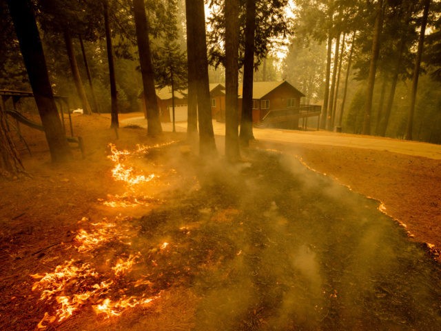 Flames from the Caldor Fire scorch the ground near a structure in Grizzly Flats, Calif., W